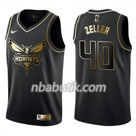 NBA Mænd Trøje Charlotte Hornets Cody Zeller 40 Nike Sort Golden Edition Swingman